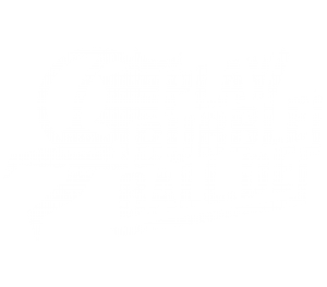 playbubbleball-footer-logo